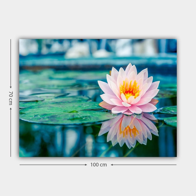 Canvastavla 70x100 cm - Vacker vattenlilja som flyter på en stilla sjö med gröna näckrosblad - Rosa / Grönt / Gult - Inredning - Tavlor & konst - Canvastavlor
