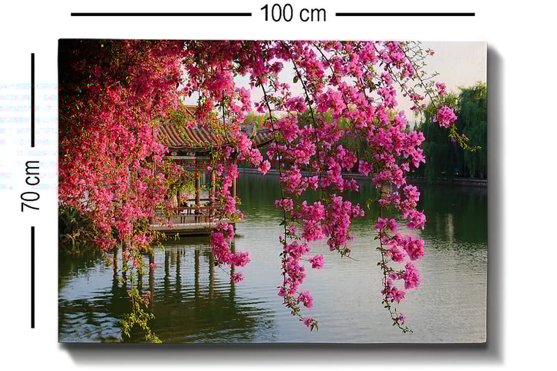 Canvastavla 70x100 cm - Vacker vy med blommande bougainvillea som hänger över en stilla sjö och en traditionell paviljong i bakgrunden - Rosa / Grön / Blågrå - Inredning - Tavlor & konst - Canvastavlor