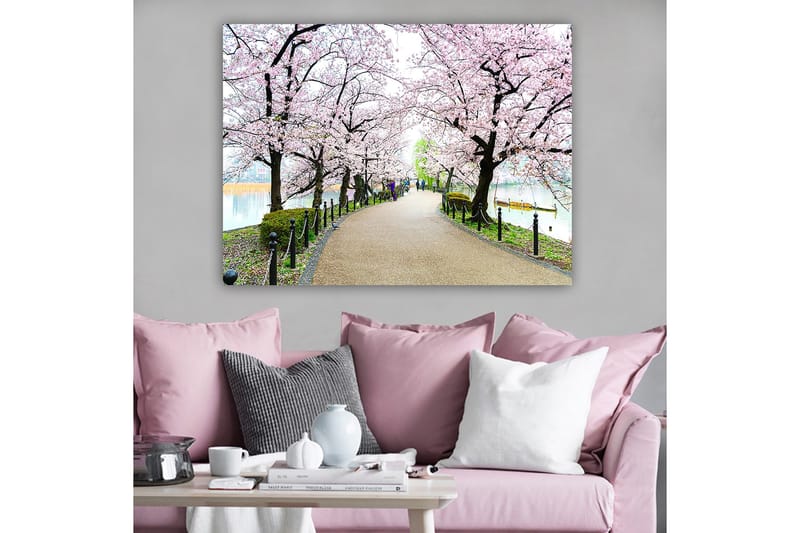 Canvastavla 70x100 cm - Vacker promenad kantad av körsbärsträd i full blom, Rosa / Grön / Brun