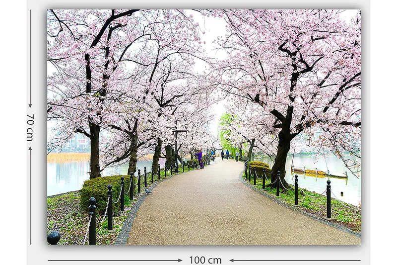 Canvastavla 70x100 cm - Vacker promenad kantad av körsbärsträd i full blom - Rosa / Grön / Brun - Inredning - Tavlor & konst - Canvastavlor