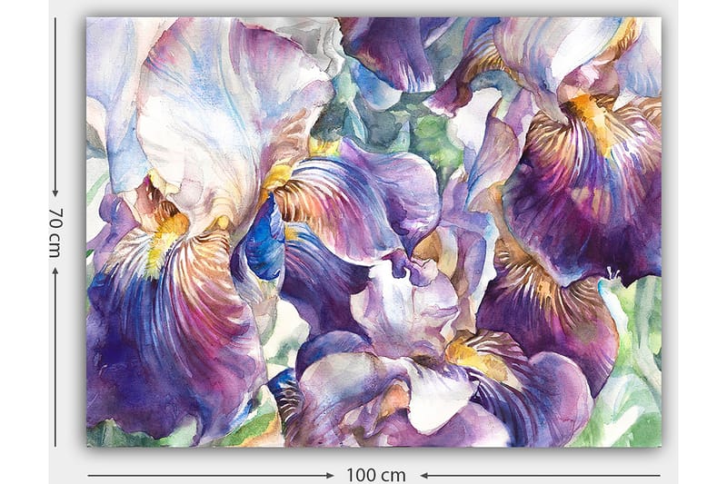 Canvastavla 70x100 cm - Vackra irisblommor i en färgsprakande komposition - Lila / Vit / Gul - Inredning - Tavlor & konst - Canvastavlor