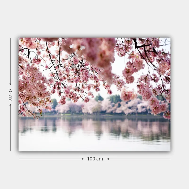 Canvastavla 70x100 cm - Vackra körsbärsblommor som sväva över en spegelblanka sjö - Ljusrosa / Mörkrosa / Grön - Inredning - Tavlor & konst - Canvastavlor
