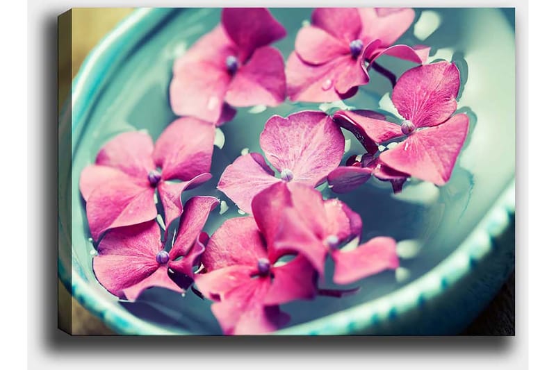 Canvastavla 70x100 cm - Vackra rosa blommor som flyter i en turkos skål - Rosa / Turkos - Inredning - Tavlor & konst - Canvastavlor