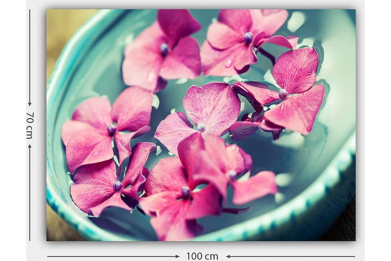 Canvastavla 70x100 cm - Vackra rosa blommor som flyter i en turkos skål - Rosa / Turkos - Inredning - Tavlor & konst - Canvastavlor