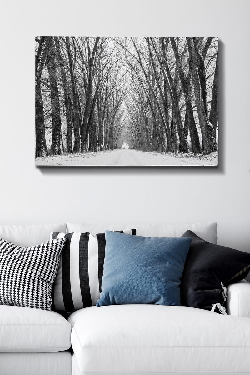 Canvastavla 70x100 cm - Vinterväg omgiven av nakna träd som skapar en stämningsfull och stillsam atmosfär - Svart / Vitt / Grått - Inredning - Tavlor & konst - Canvastavlor