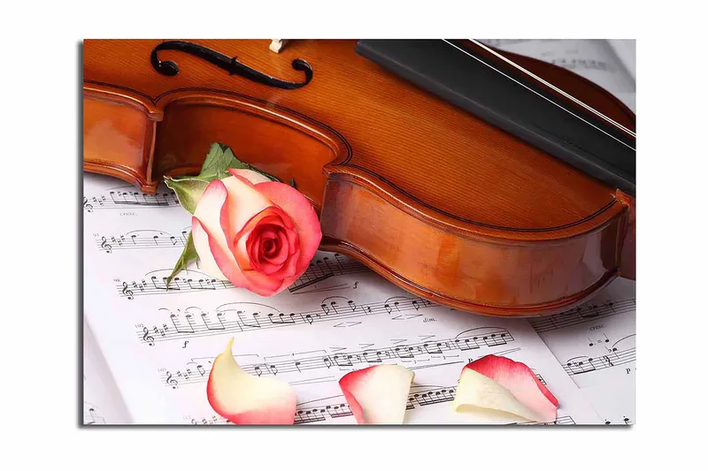 Canvastavla 70x100 cm - Violin med en ros och rosblad på ett notblad - Röd / Beige / Brun - Inredning - Tavlor & konst - Canvastavlor