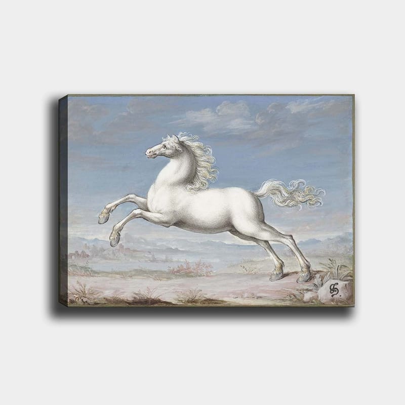 Canvastavla 70x100 cm - Vit häst som hoppar framåt i en naturskön landskapsmiljö, Vit / Ljusblå / Beige