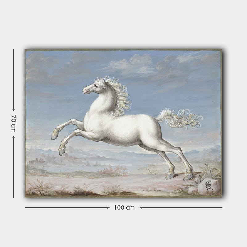 Canvastavla 70x100 cm - Vit häst som hoppar framåt i en naturskön landskapsmiljö - Vit / Ljusblå / Beige - Inredning - Tavlor & konst - Canvastavlor