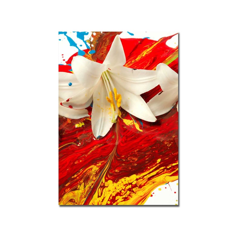 Canvastavla 70x100 cm - Vit lilja som framträder mot en bakgrund av intensiva röda och gula färger - Röd / Gul / Vit - Inredning - Tavlor & konst - Canvastavlor