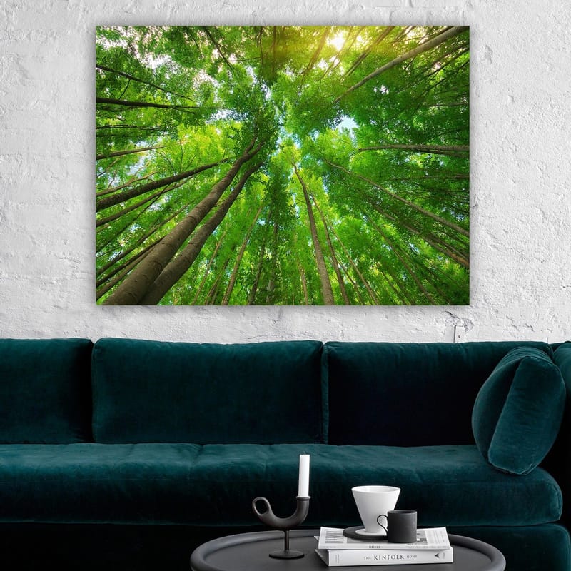 Canvastavla 70x100 cm - Vy av höga träd sedd från marken, som sträcker sig mot en klar himmel - Grön / Brun - Inredning - Tavlor & konst - Canvastavlor