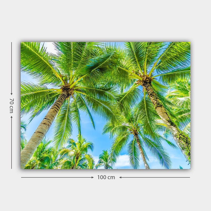 Canvastavla 70x100 cm - Vy av höga palmer som sträcker sig mot en klar blå himmel - Grön / Blå - Inredning - Tavlor & konst - Canvastavlor