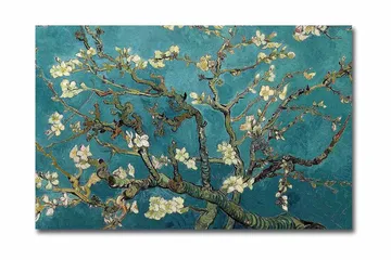 Canvastavla 70x45 cm - Blommande kvistar mot en turkos bakgrund - Turkos / Vit / Mörkgrön - Inredning - Tavlor & konst - Canvastavlor