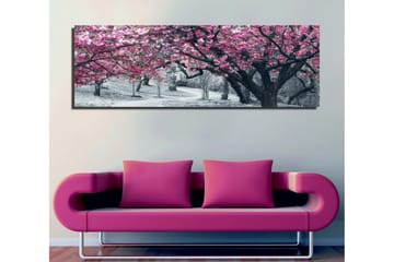 Canvastavla 80x30 cm - Blommande körsbärsträd i svartvitt landskap - Rosa / Svart - Inredning - Tavlor & konst - Canvastavlor