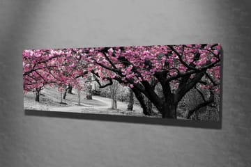Canvastavla 80x30 cm - Blommande körsbärsträd i svartvitt landskap - Rosa / Svart - Inredning - Tavlor & konst - Canvastavlor