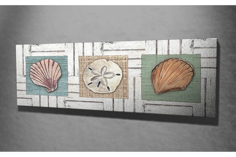 Canvastavla 80x30 cm - Tre olika snäckor på färgade bakgrunder - Grön / Beige / Rosa - Inredning - Tavlor & konst - Canvastavlor