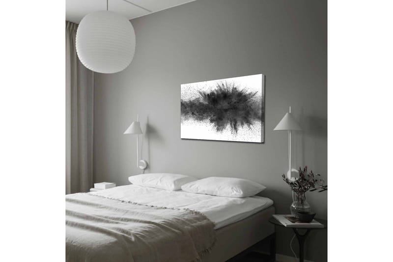 Canvastavla - Abstrakt explosion av svart bläck - Svart / Grå - Inredning - Tavlor & konst - Canvastavlor
