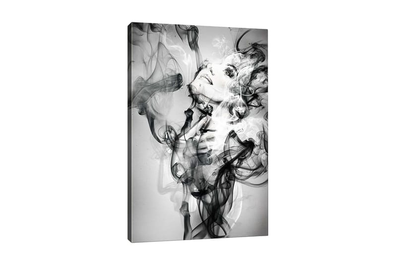 Canvastavla - Abstrakt porträtt av en kvinna omgiven av rökiga former, Svart / Vitt / Grått