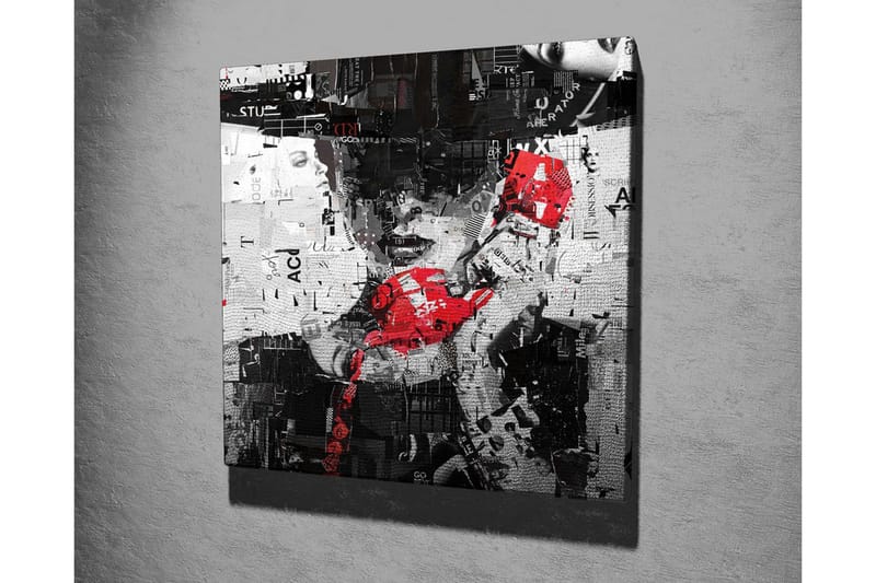 Canvastavla - Abstrakt porträtt med en röd telefon och grafiska element - Röd / Svart / Vit - Inredning - Tavlor & konst - Canvastavlor