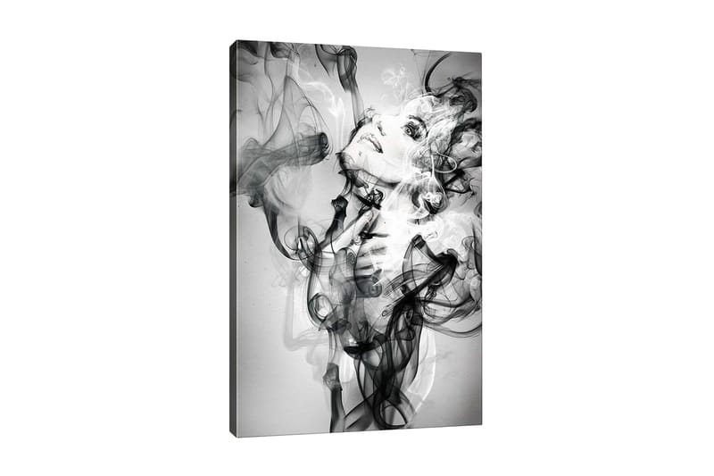 Canvastavla - Abstrakt porträtt av en kvinna omgiven av rökiga former, Svart / Vitt / Grått