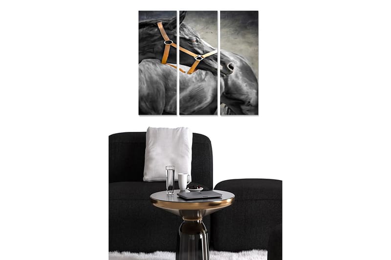 Canvastavla Animal 3-pack Flerfärgad - 20x50 cm - Inredning - Tavlor & konst - Canvastavlor
