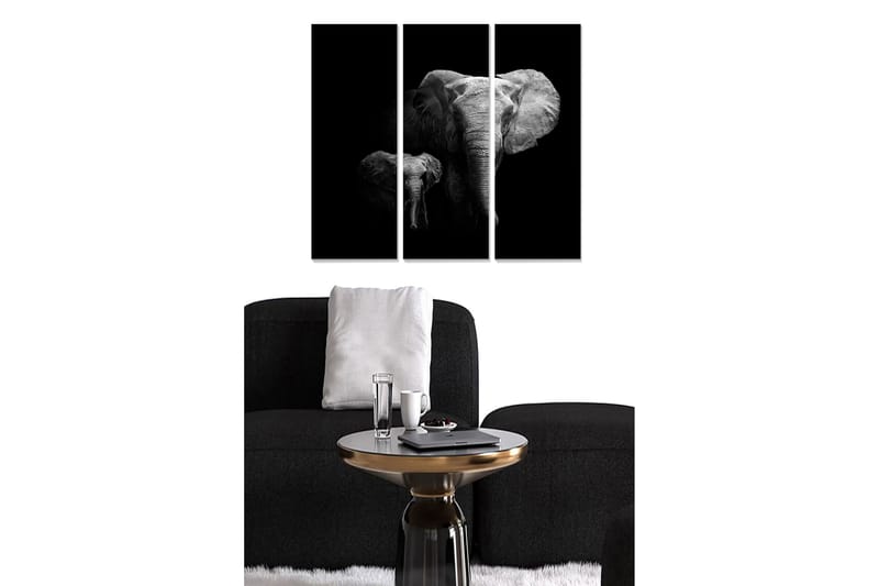 Canvastavla Animal 3-pack Flerfärgad - 20x50 cm - Inredning - Tavlor & konst - Canvastavlor