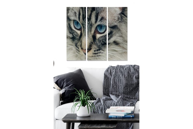 Canvastavla Animal 3-pack Flerfärgad - 20x50 cm - Inredning - Tavlor & konst - Canvastavlor