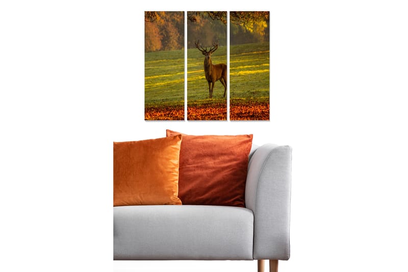 Canvastavla Animal 3-pack Flerfärgad - 20x50 cm - Inredning - Tavlor & konst - Canvastavlor