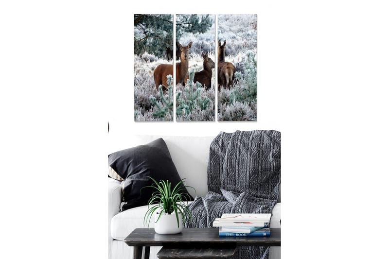 Canvastavla Animal 3-pack Flerfärgad - 20x50 cm - Inredning - Tavlor & konst - Canvastavlor