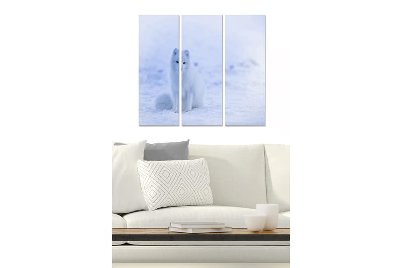 Canvastavla Animal 3-pack Flerfärgad - 20x50 cm - Inredning - Tavlor & konst - Canvastavlor