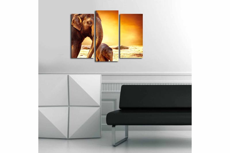 Canvastavla Animal 3-pack Flerfärgad - 20x39 cm - Inredning - Tavlor & konst - Canvastavlor