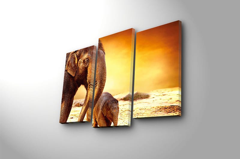 Canvastavla Animal 3-pack Flerfärgad - 20x39 cm - Inredning - Tavlor & konst - Canvastavlor