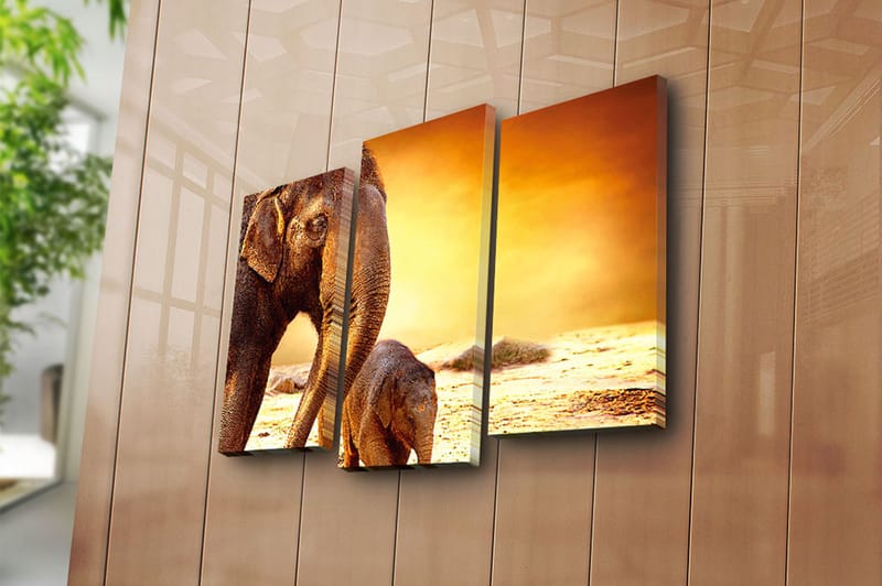 Canvastavla Animal 3-pack Flerfärgad - 20x39 cm - Inredning - Tavlor & konst - Canvastavlor