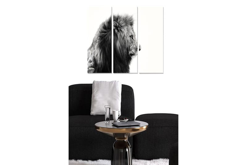 Canvastavla Animal 3-pack Flerfärgad - 20x50 cm - Inredning - Tavlor & konst - Canvastavlor