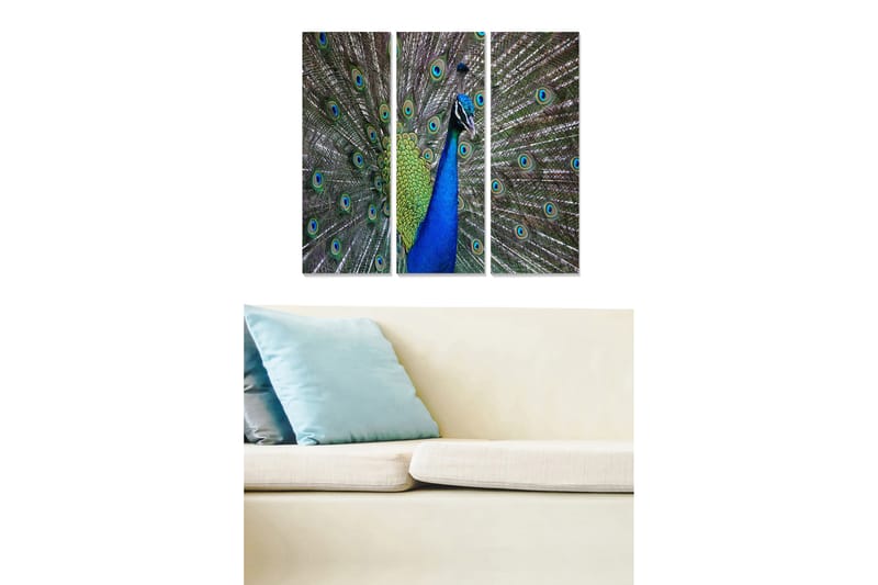 Canvastavla Animal 3-pack Flerfärgad - 20x50 cm - Inredning - Tavlor & konst - Canvastavlor