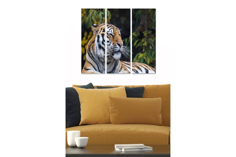 Canvastavla Animal 3-pack Flerfärgad - 20x50 cm - Inredning - Tavlor & konst - Canvastavlor