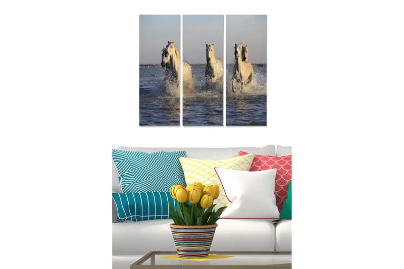 Canvastavla Animal 3-pack Flerfärgad - 20x50 cm - Inredning - Tavlor & konst - Canvastavlor