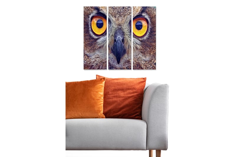 Canvastavla Animal 3-pack Flerfärgad - 20x50 cm - Inredning - Tavlor & konst - Canvastavlor
