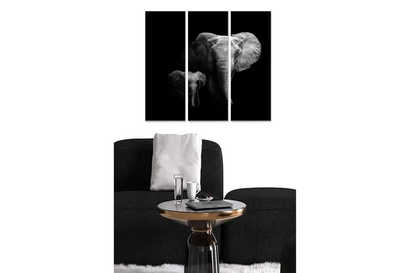 Canvastavla Animal 3-pack Flerfärgad, 20x50 cm