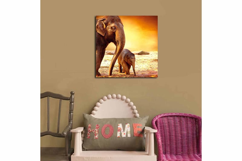 Canvastavla Animal Flerfärgad - 45x45 cm - Inredning - Tavlor & konst - Canvastavlor