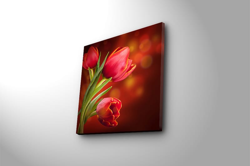 Canvastavla Animal Flerfärgad - 45x45 cm - Inredning - Tavlor & konst - Canvastavlor