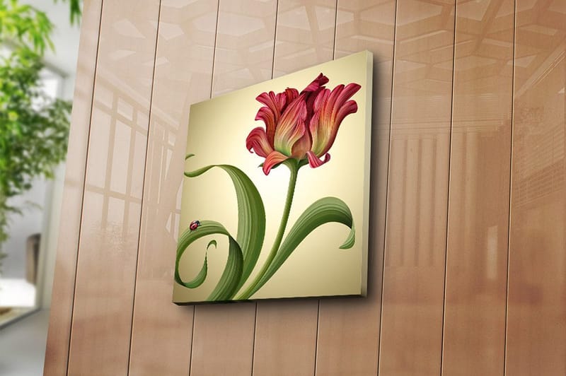 Canvastavla Animal Flerfärgad - 45x45 cm - Inredning - Tavlor & konst - Canvastavlor