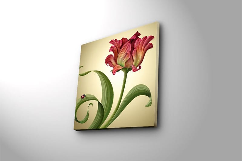 Canvastavla Animal Flerfärgad - 45x45 cm - Inredning - Tavlor & konst - Canvastavlor