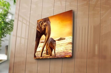 Canvastavla Animal Flerfärgad - 45x45 cm - Inredning - Tavlor & konst - Canvastavlor