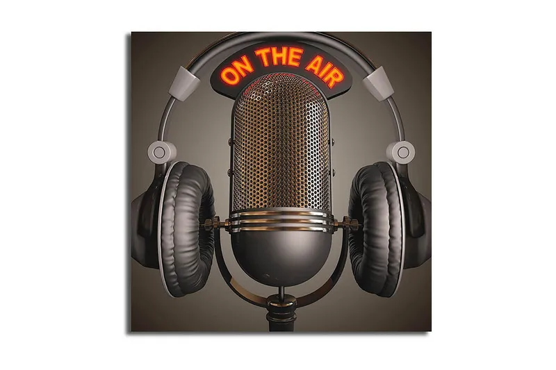 Canvastavla Animal Flerfärgad, 45x45 cm