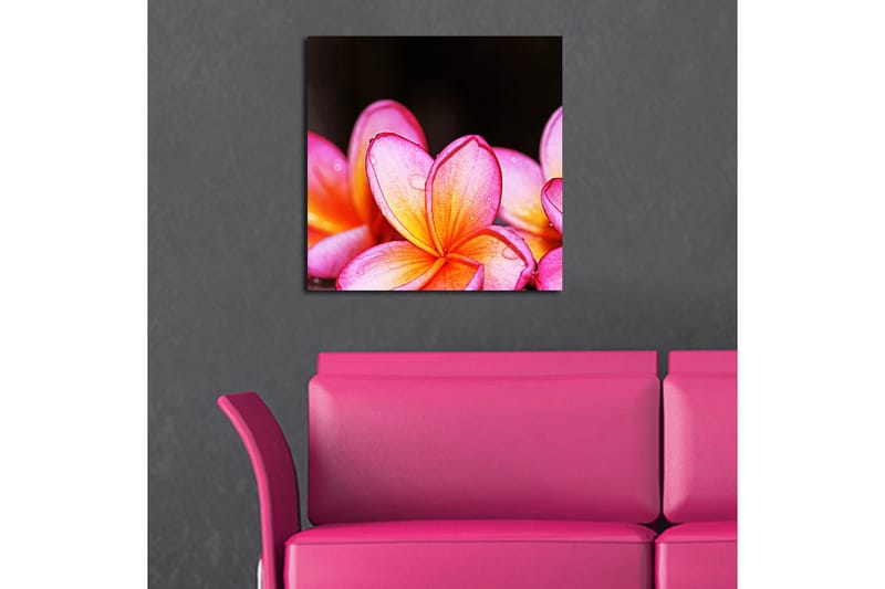 Canvastavla Animal Flerfärgad - 45x45 cm - Inredning - Tavlor & konst - Canvastavlor