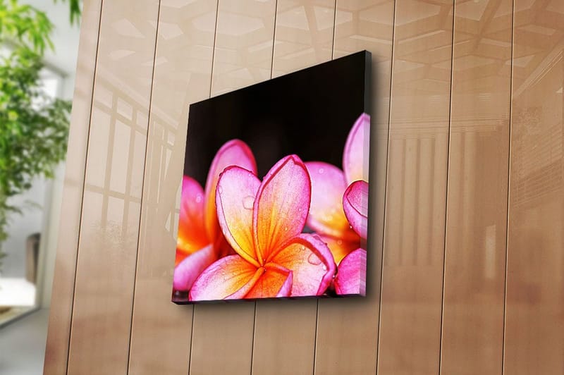 Canvastavla Animal Flerfärgad - 45x45 cm - Inredning - Tavlor & konst - Canvastavlor