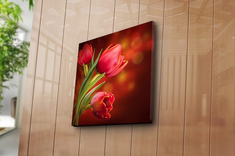 Canvastavla Animal Flerfärgad - 45x45 cm - Inredning - Tavlor & konst - Canvastavlor