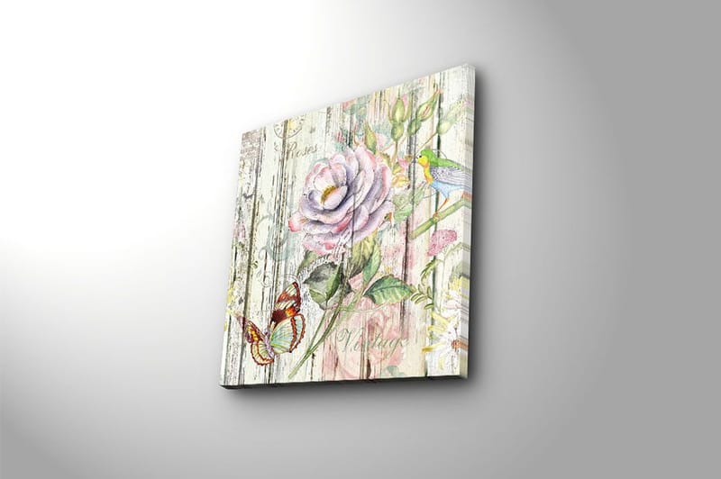 Canvastavla Animal Flerfärgad - 45x45 cm - Inredning - Tavlor & konst - Canvastavlor