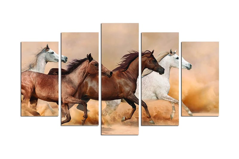 Canvastavla Animals 5-pack Flerfärgad - 20x60 cm - Canvastavlor