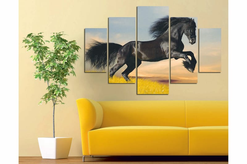 Canvastavla Animals 5-pack Flerfärgad - 56x20 cm - Inredning - Tavlor & konst - Canvastavlor